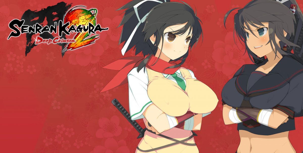 Senran Kagura Games for 3DS 