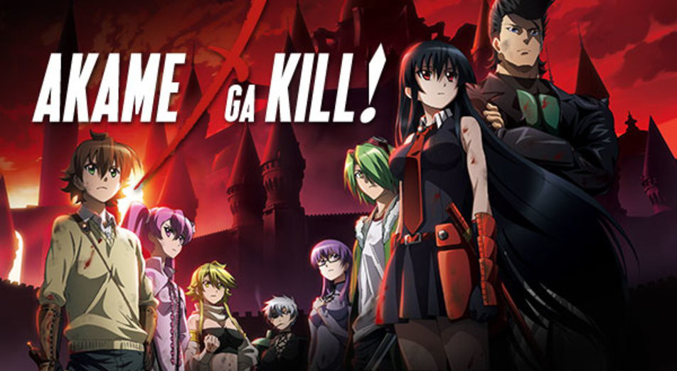 Crunchyroll on X: With the conclusion of Akame ga Kill, author Takahiro  and artist Strelka team up for new series ⭐️ More:    / X