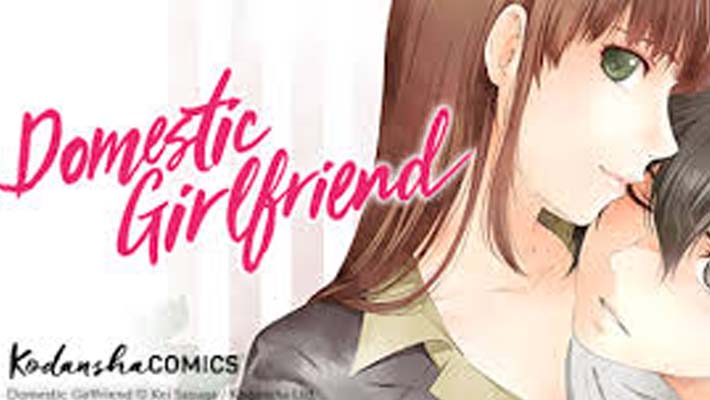 Domestic Girlfriend DOMEKANO Vol.22 Limited Edition Manga + TV anime video  Japan