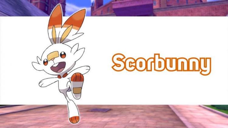 Scorbunny