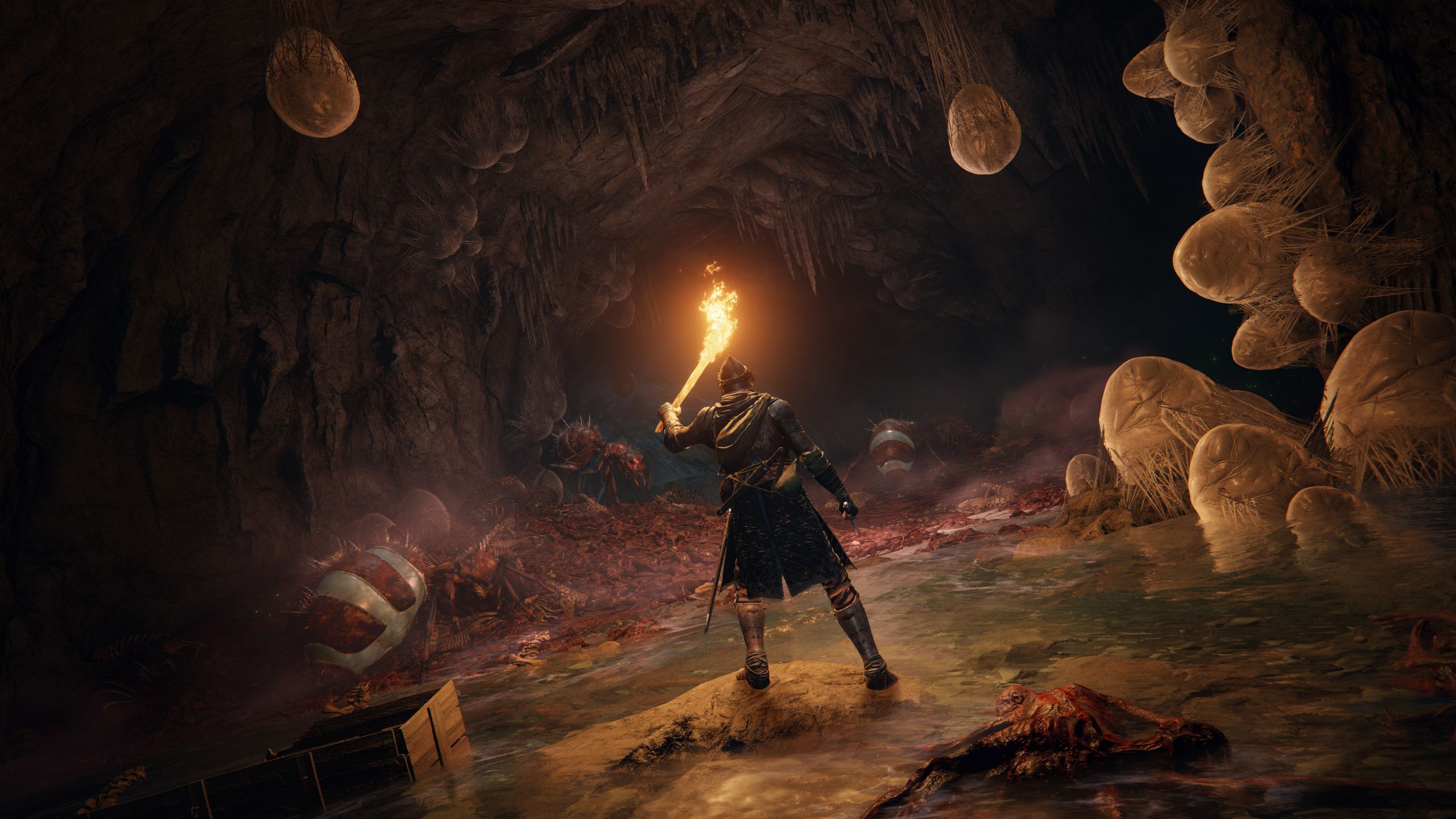 Demon's Souls Remake Gorgeous 4K Screenshots Highlight Massive