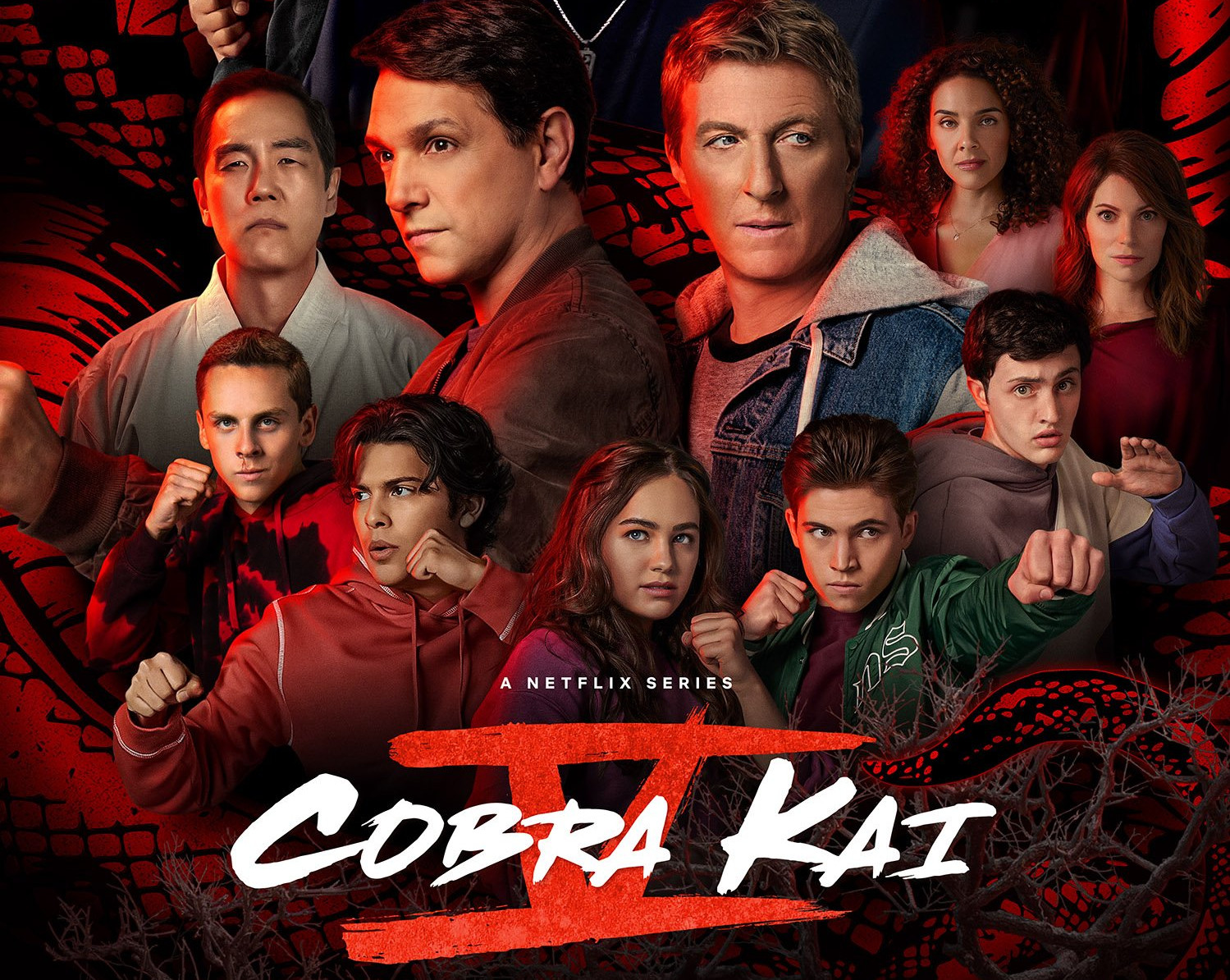 Cobra Kai Os adultos roubam a cena! Resenha