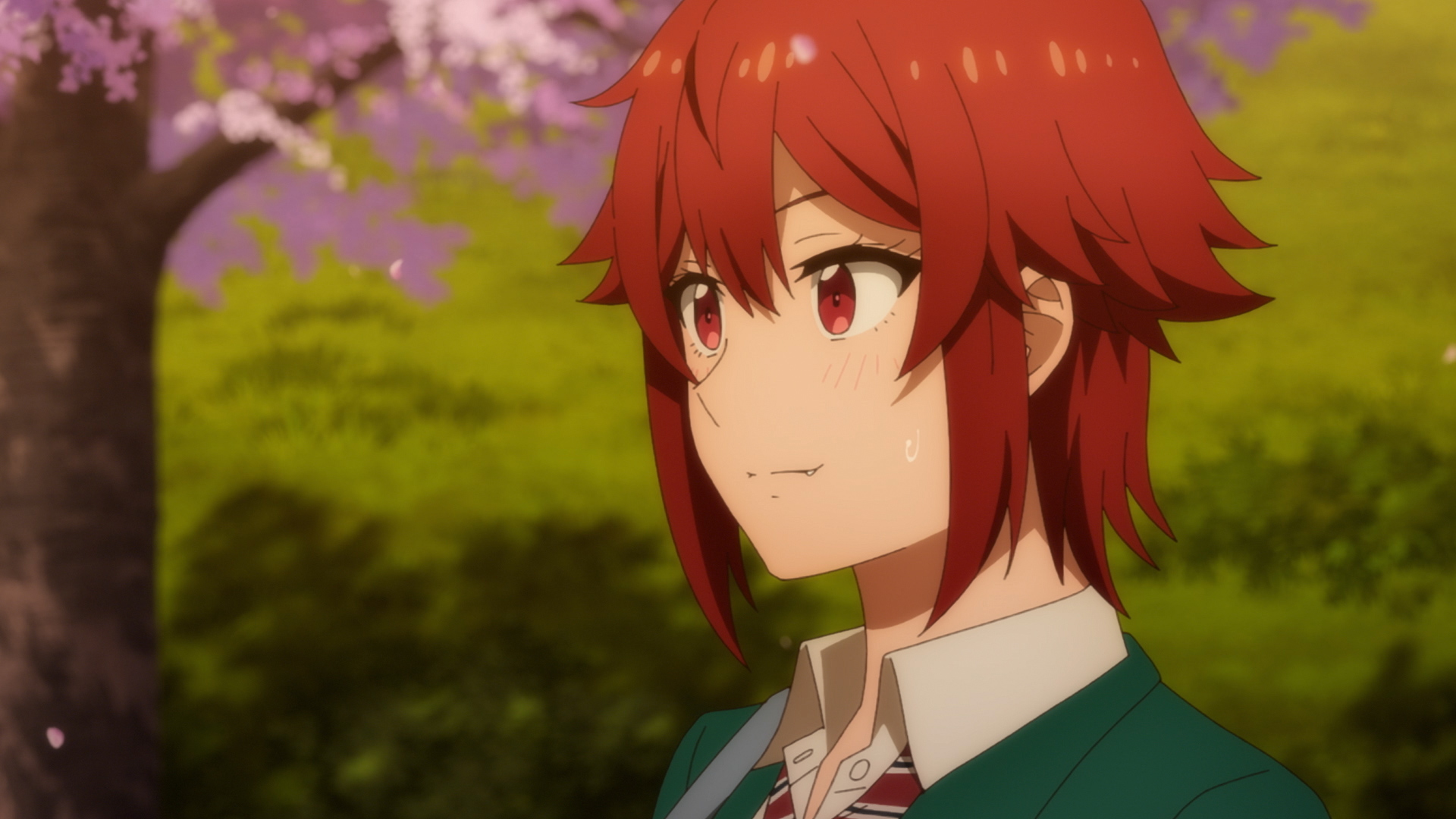 Tomo-chan Is a Girl! English Dub Voice Cast Revealed